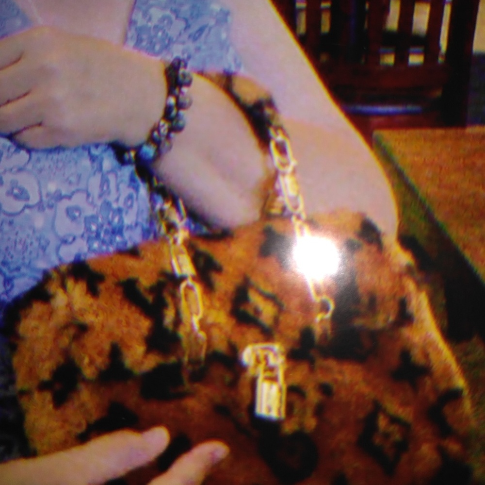 Louie Vuitton Purse